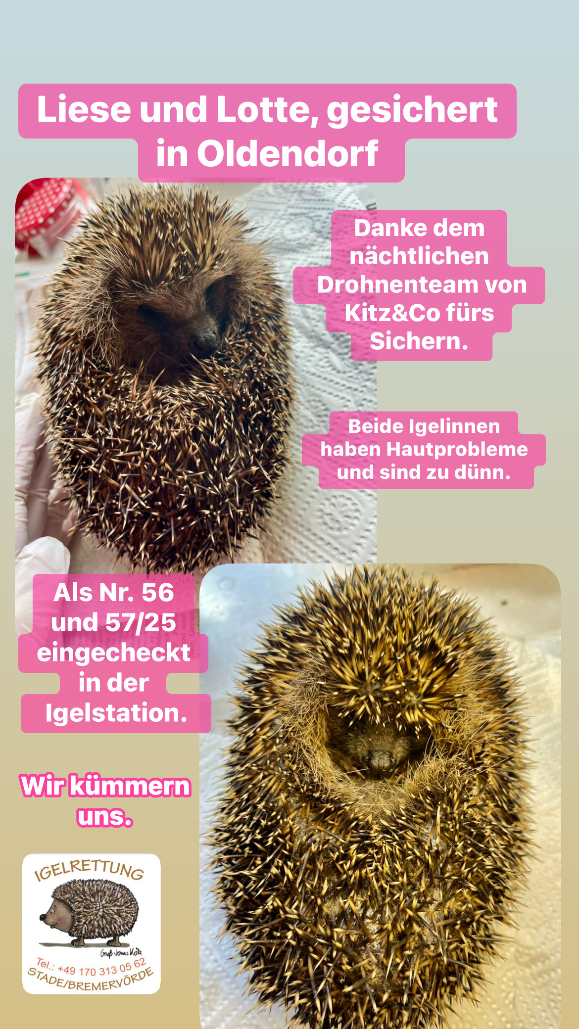 Liese und Lotte